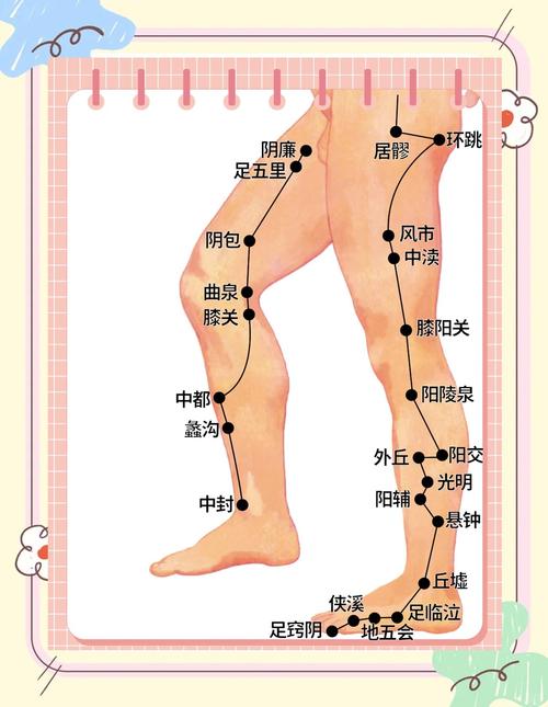 小腿冷艾灸什么穴位