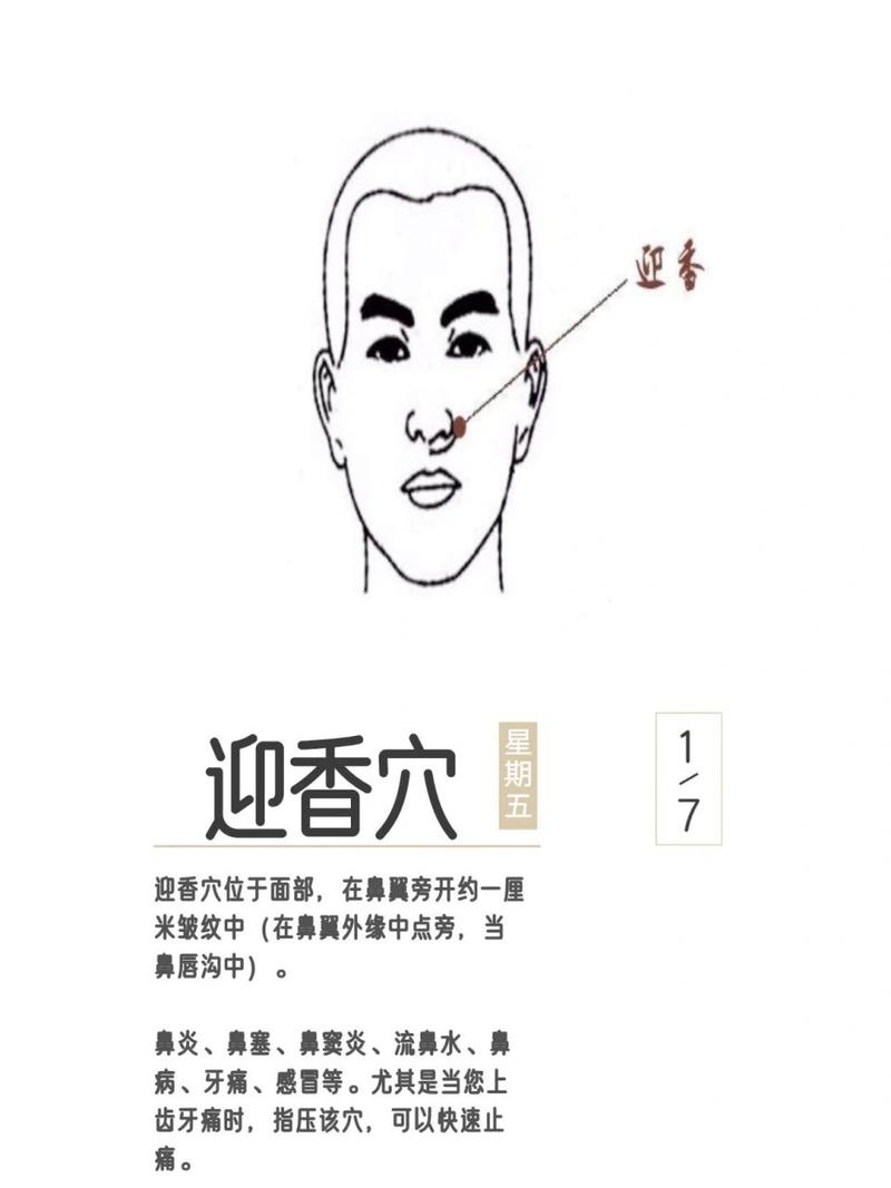 鼻部保健穴位图迎香