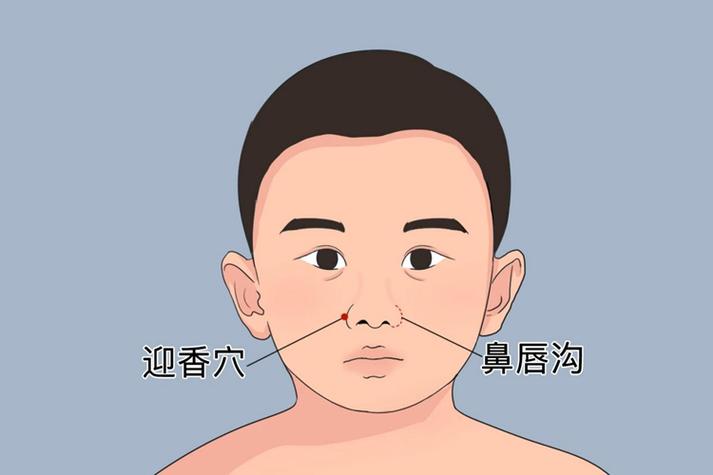 鼻部保健穴位图迎香