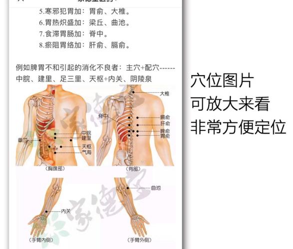 中药敷贴的常用穴位