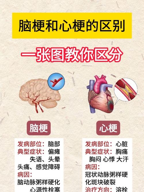怎样预防脑梗或者心梗