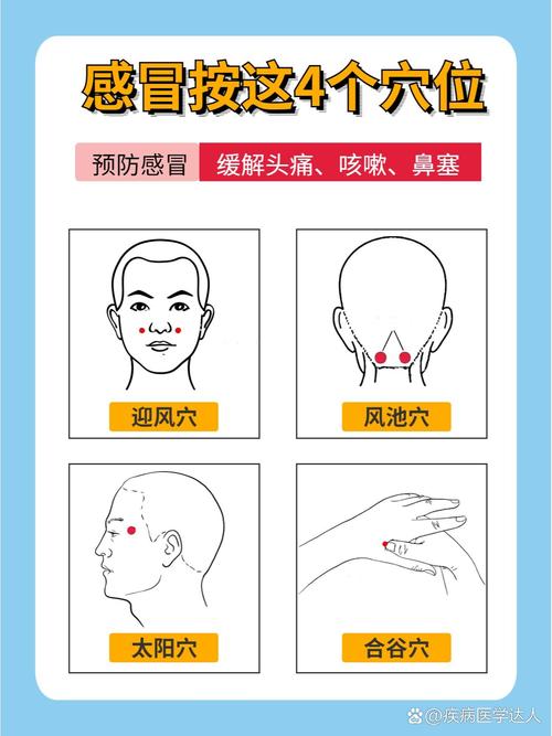 感冒发烧摁哪儿穴位