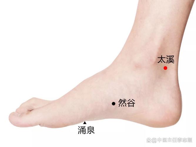 降尿酸针灸什么穴位