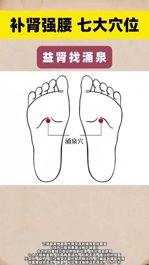 补肾穴位反射区儿童