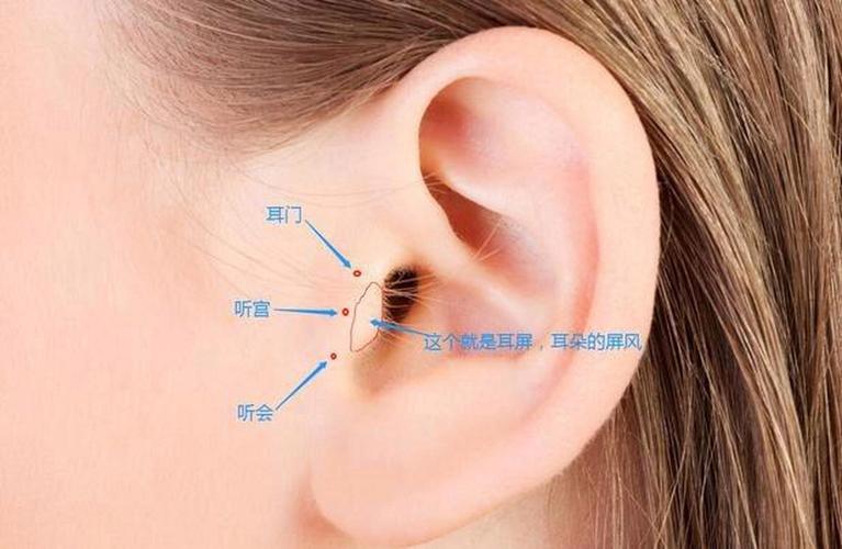 耳根右方是什么穴位