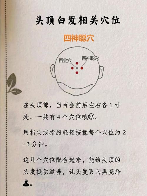 按摩头上有哪些穴位