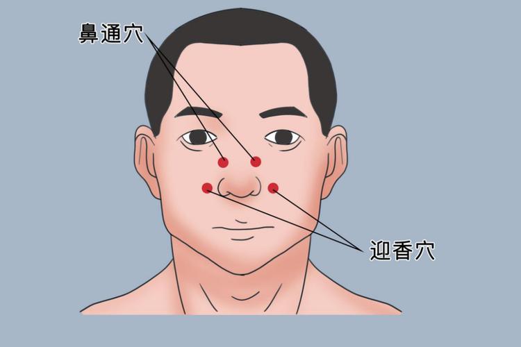 鼻炎哪个特效穴位图