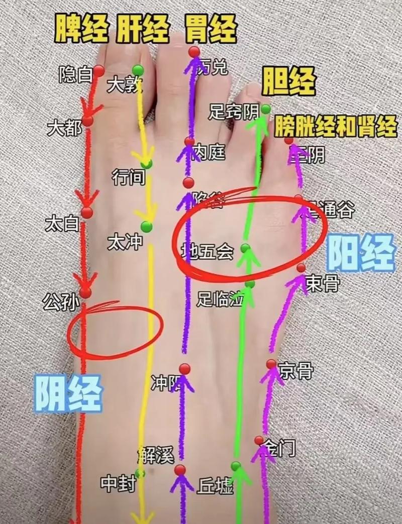 脚上那穴位刺激阴茎