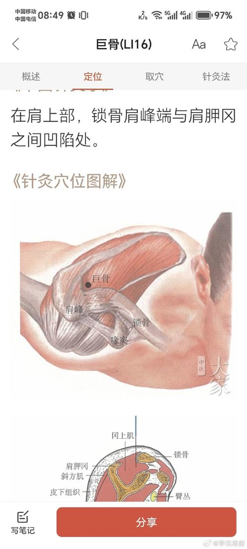 大巨穴位定位及主治