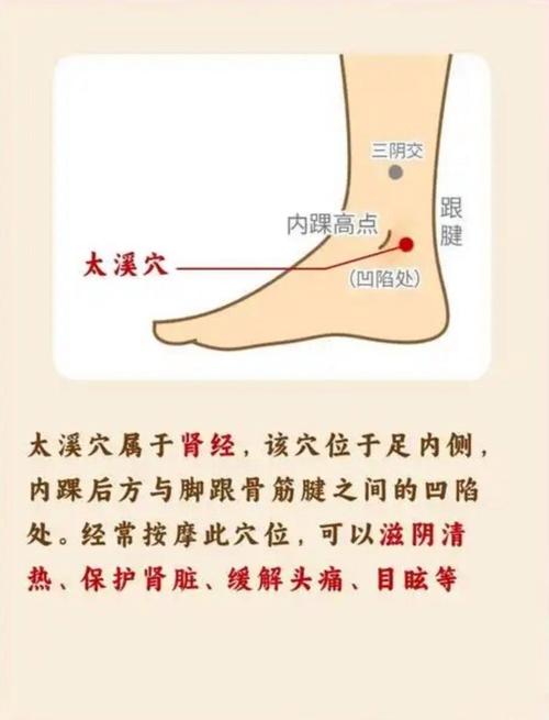 治疗腿脚浮肿的穴位