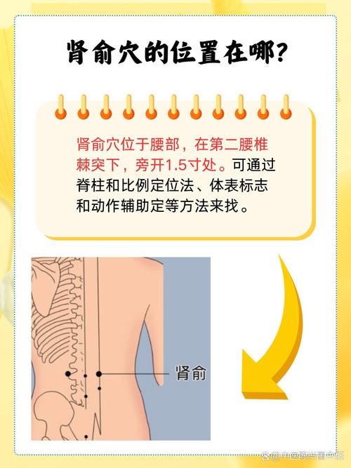 肾俞下面是什么穴位