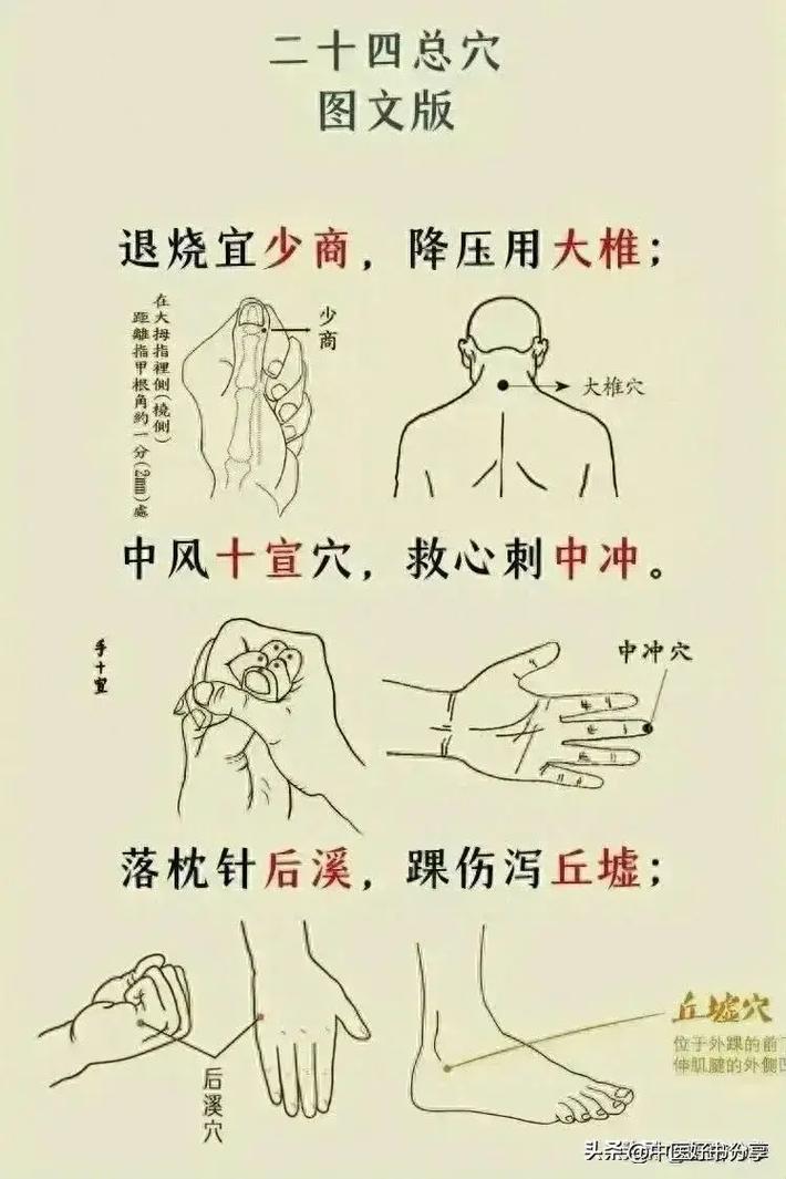 退烧应该灸什么穴位