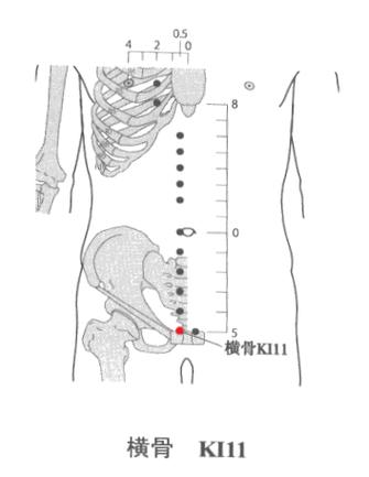 横骨穴位准确位置图