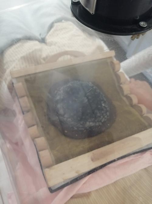 风湿性关节炎可以热敷