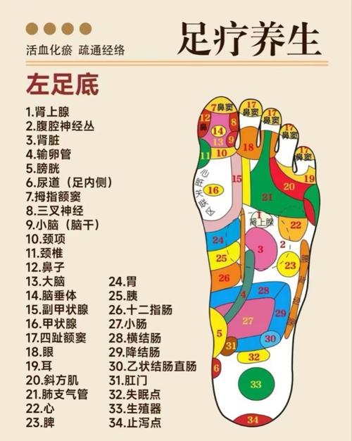足底穴位预防什么病