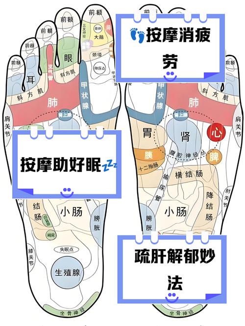 足底穴位预防什么病