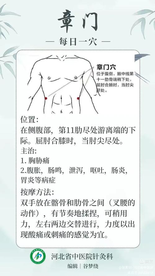 护肝脏按摩那个穴位