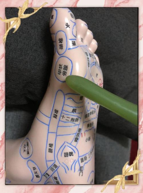 黑白脚底按摩穴位图