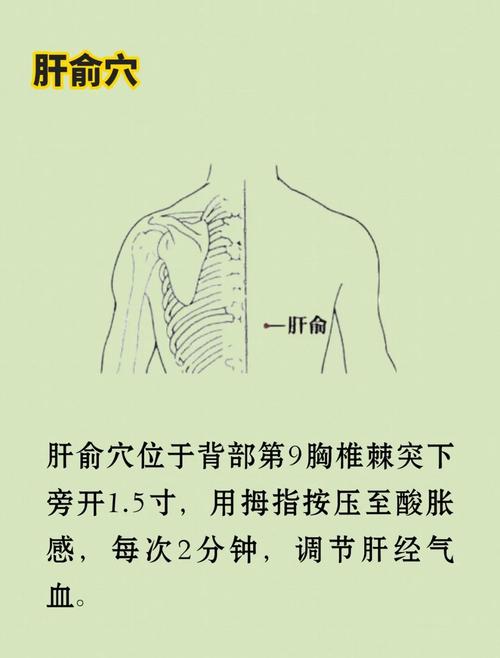 肝硬化腹水穴位按摩