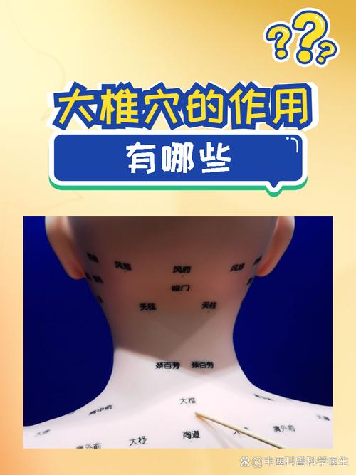 人体大椎穴位图高清