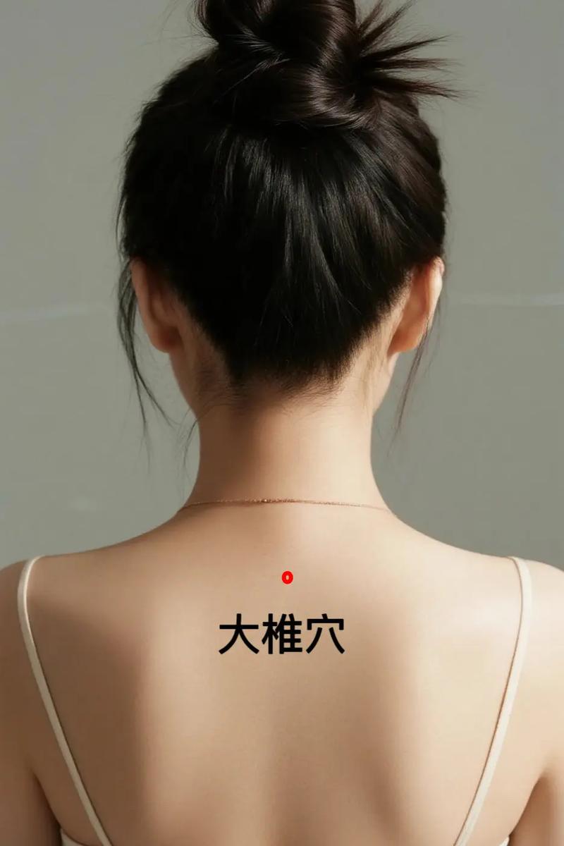人体大椎穴位图高清