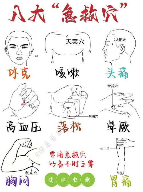 常用止血穴位有哪些