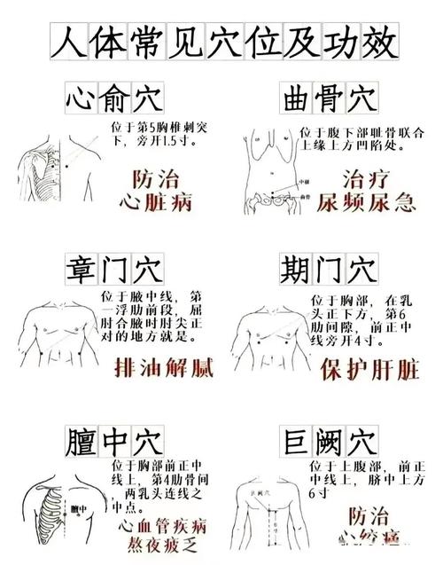 常用止血穴位有哪些