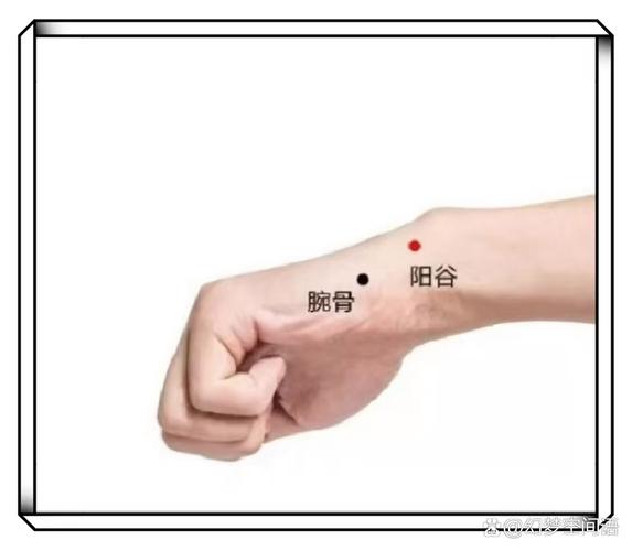 手腕阳谷穴位置视频