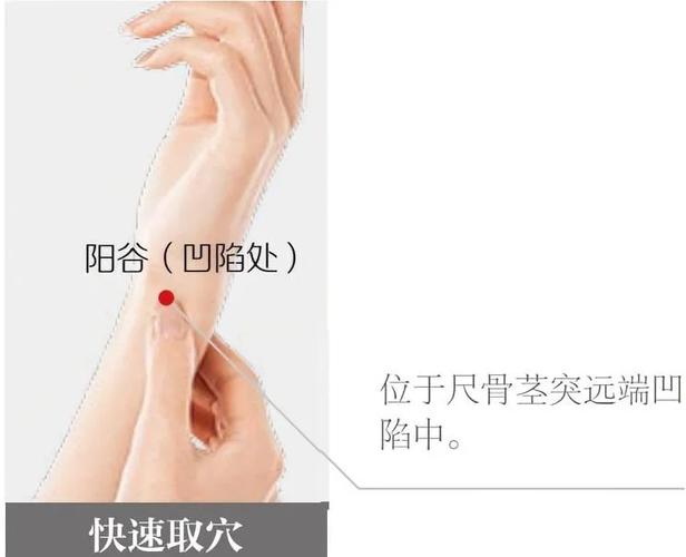 手腕阳谷穴位置视频