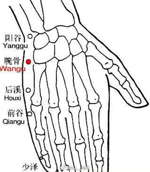 手腕阳谷穴位置视频