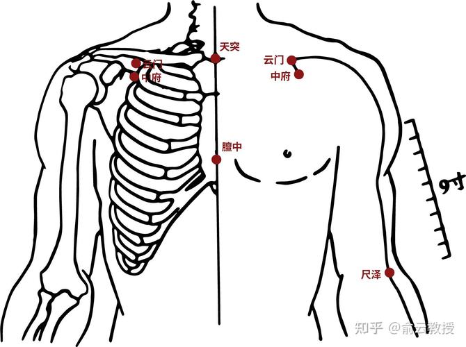 肺炎艾灸灸哪个穴位