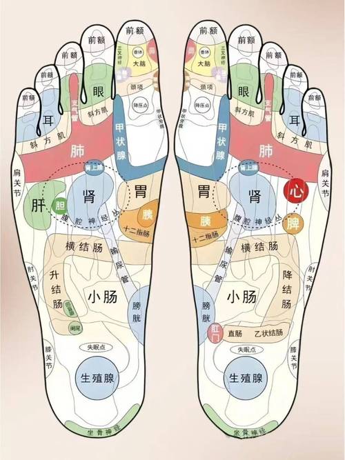 脚上什么穴位治肾虚