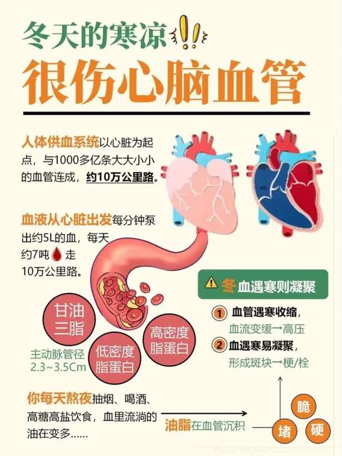 脑梗心梗如何疏通血栓