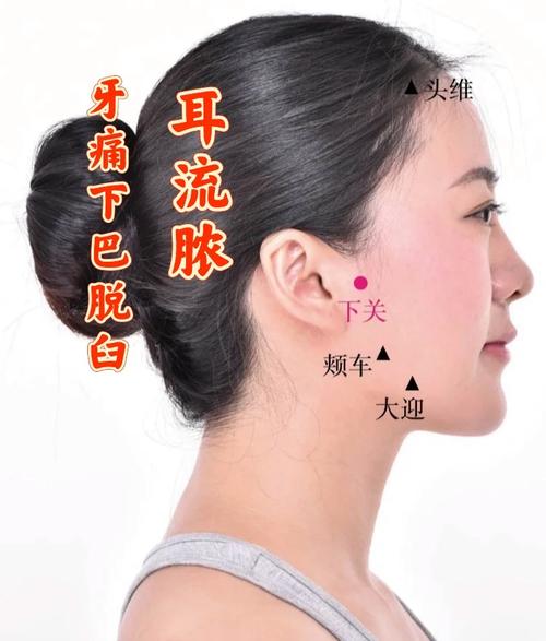 嘴巴底下有什么穴位