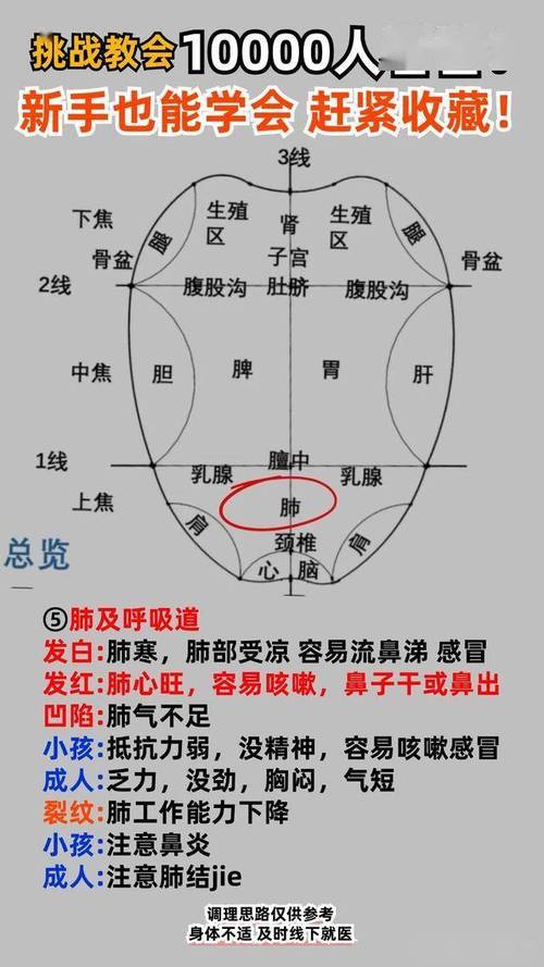 舌根发白按什么穴位