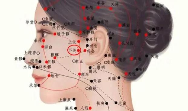 下巴下方是什么穴位