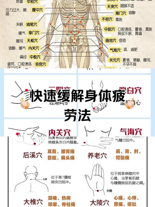 穴位即可 还不收藏