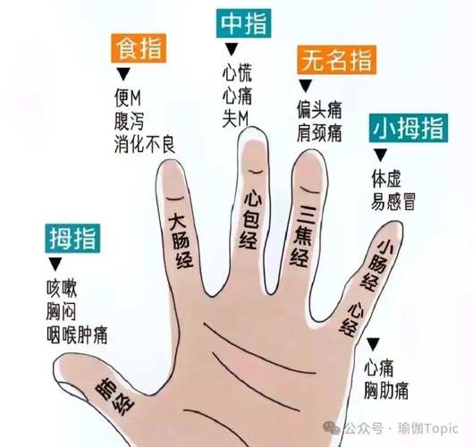 手指穴位治老年便秘