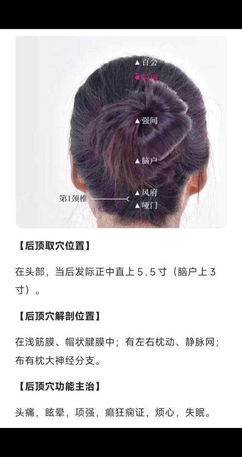 脑袋后面是什么穴位