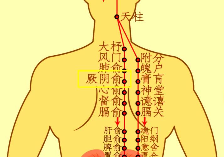 胃酸刮背上哪个穴位