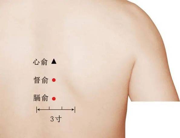 胃酸刮背上哪个穴位