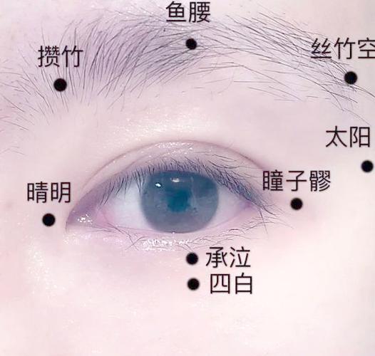 眼脸浮肿按什么穴位