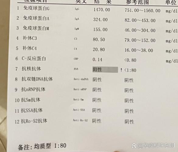 风湿科免疫球蛋白四项