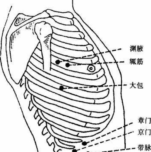 章门穴下面什么穴位