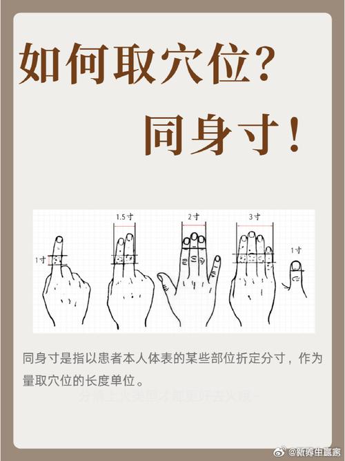 穴位0.1寸是多少