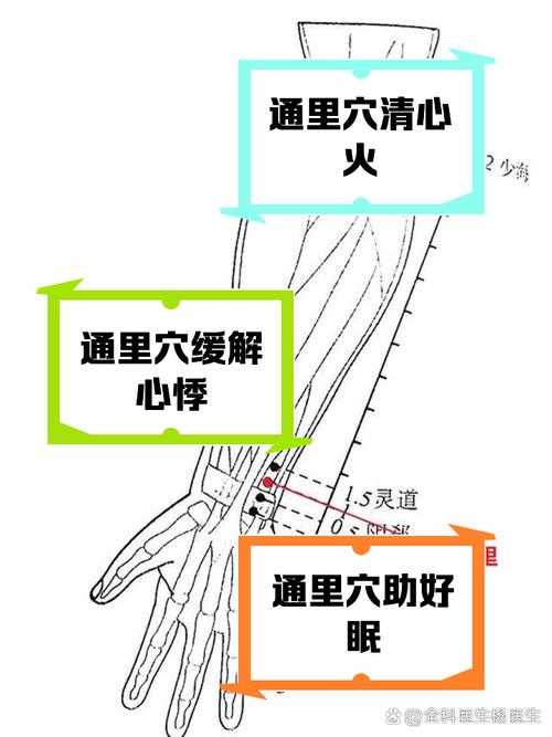 大便不通电什么穴位