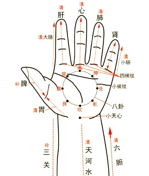 小儿推拿分多少穴位