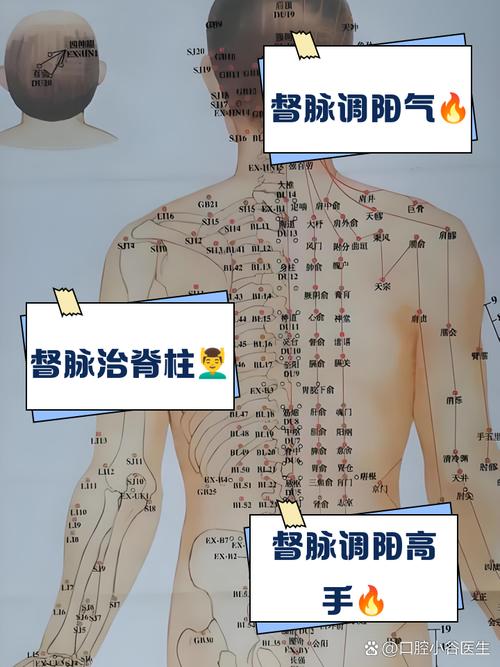 督脉经 穴位29个