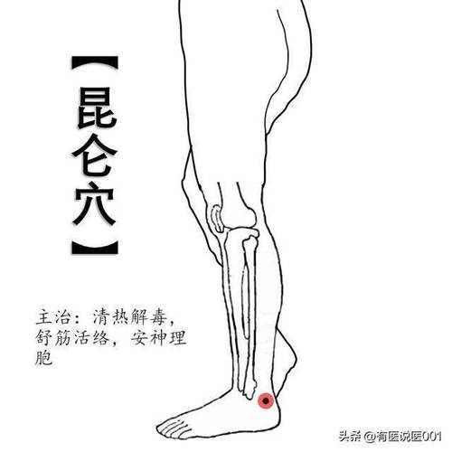 昆仑穴 人体穴位v