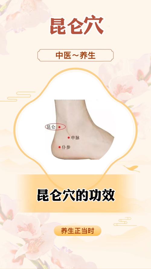 昆仑穴 人体穴位v